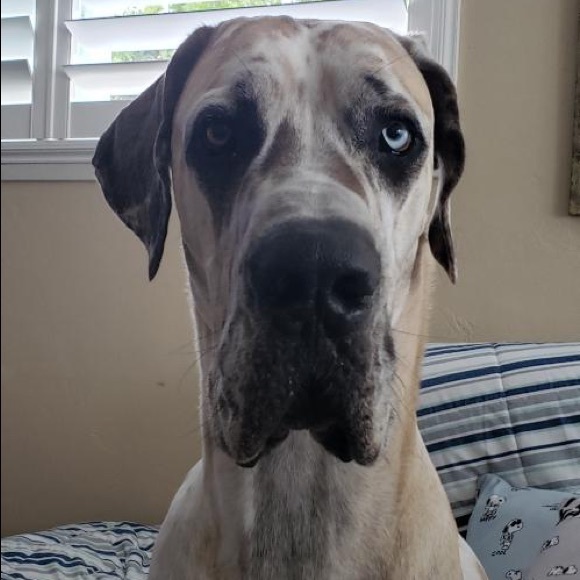 Meet your Posher, Jason - Picture 3 of 4